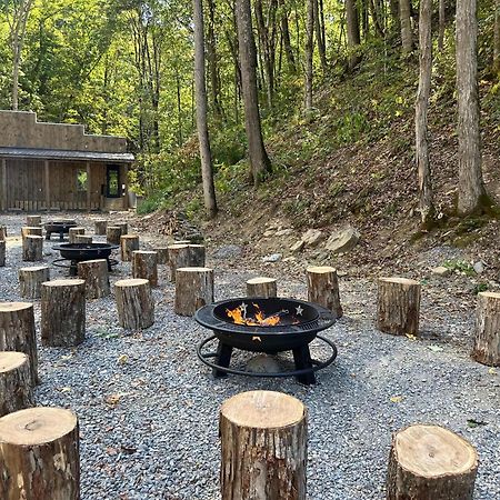 Cozy Cove Retreat W Lake View Hot Tub Firepit Dandridge Exterior foto